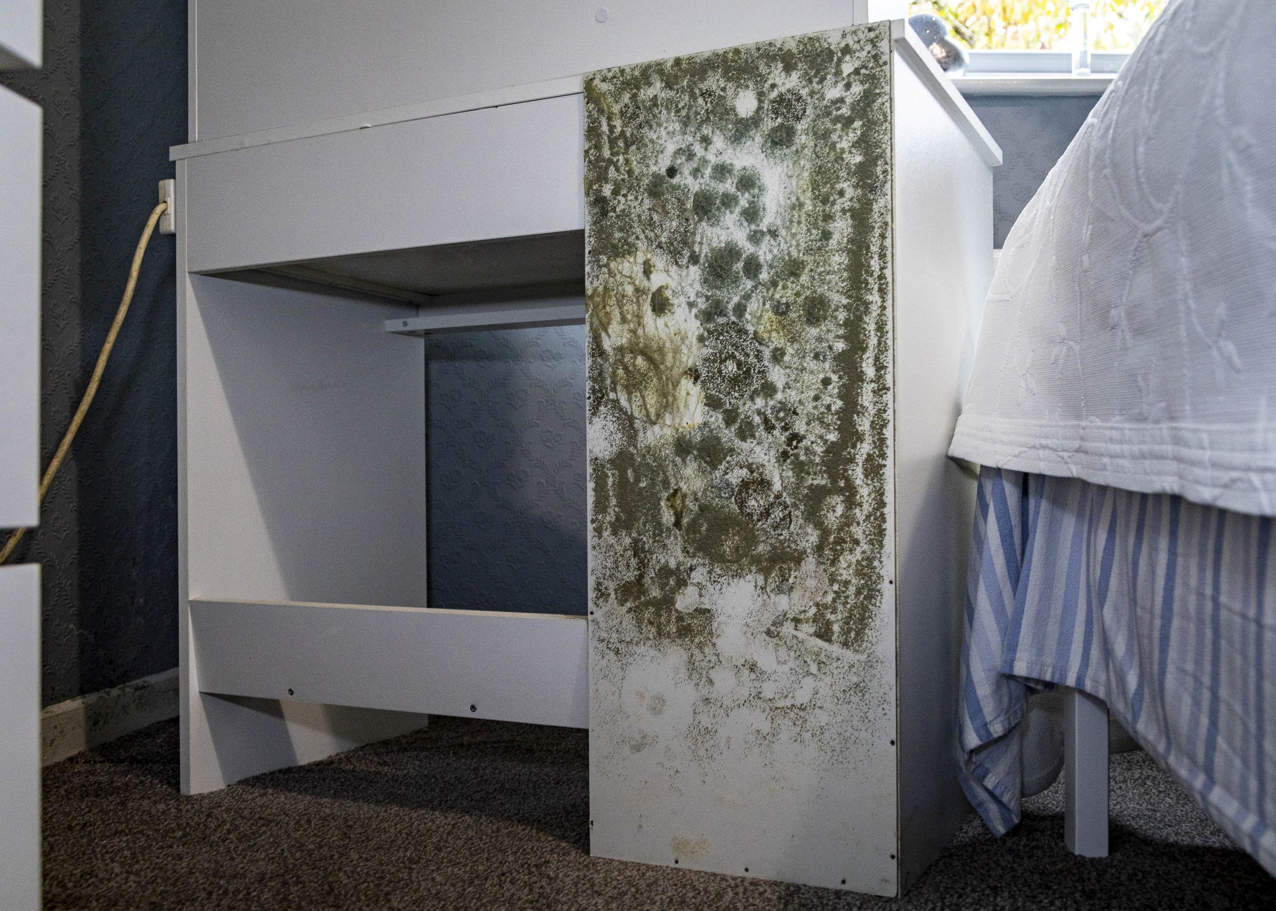 Damp and mould on an interior wall identified during a Wolverhampton property survey